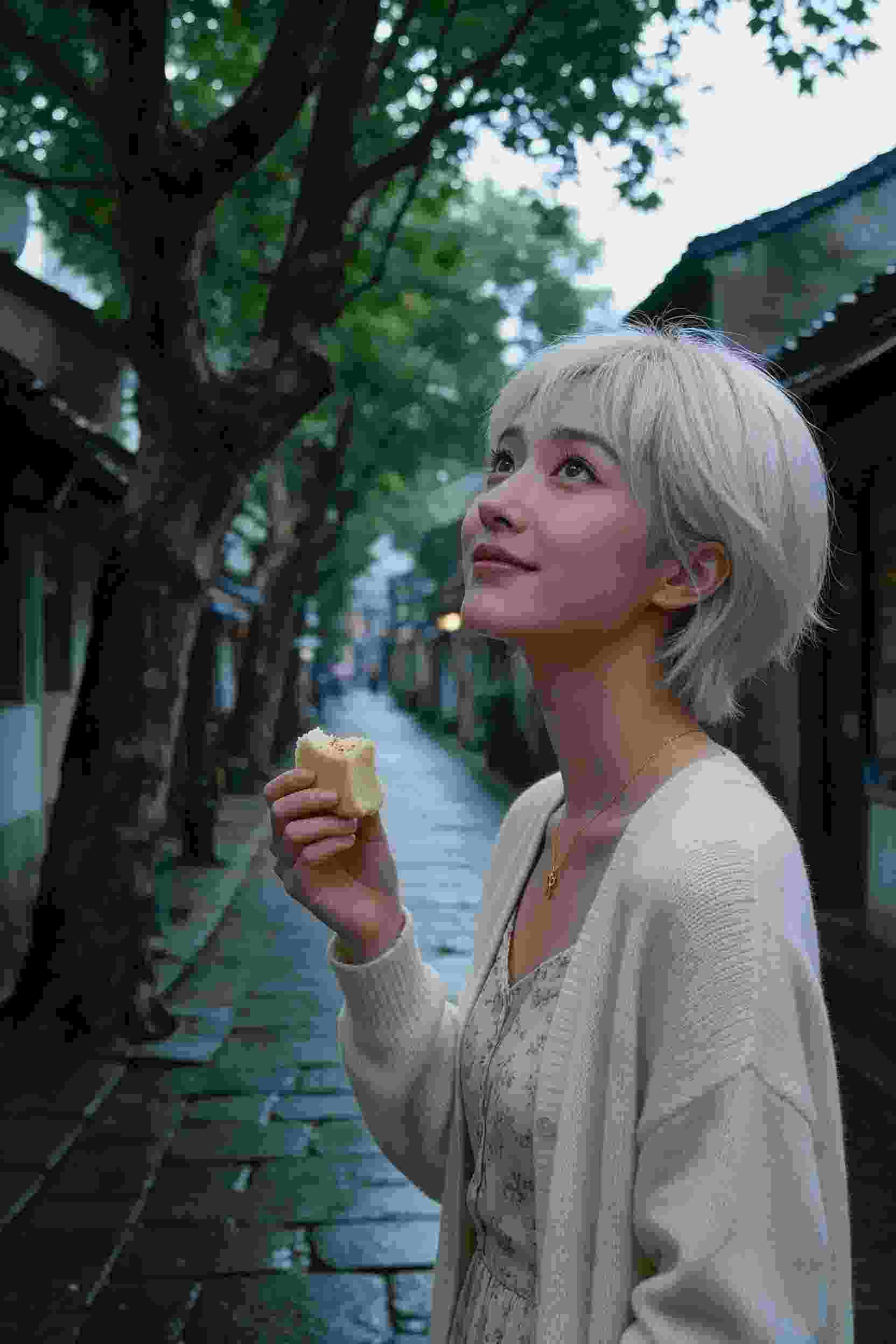 轮播图